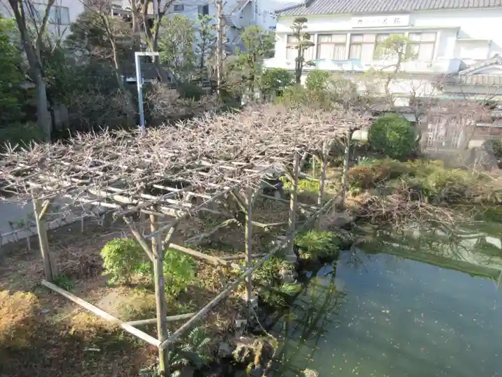 亀戸天神社(東京都)