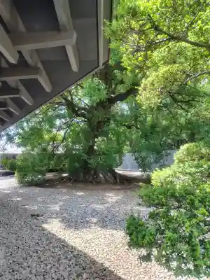 上野東照宮(東京都)