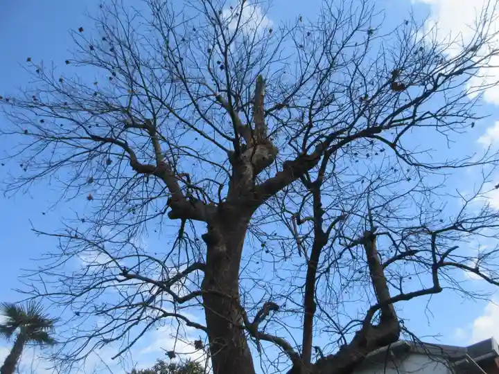 光明寺(神奈川県)