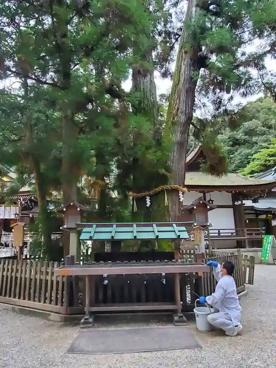 大神神社の自然