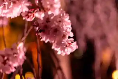 平安神宮(京都府)