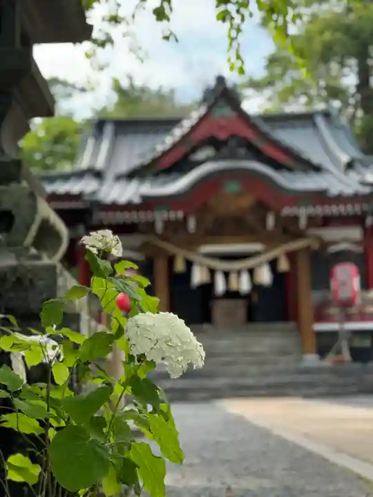 山中諏訪神社(山梨県)