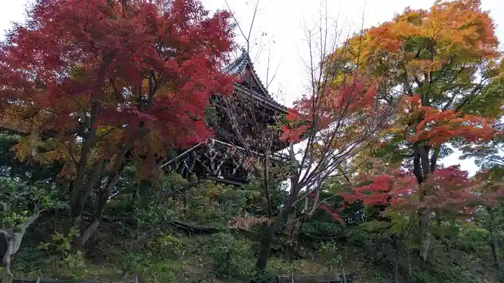 善峯寺(京都府)