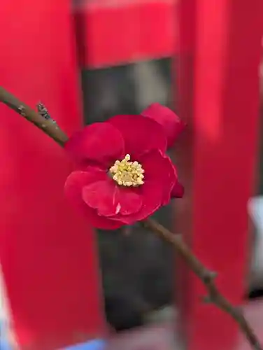 新田神社(東京都)
