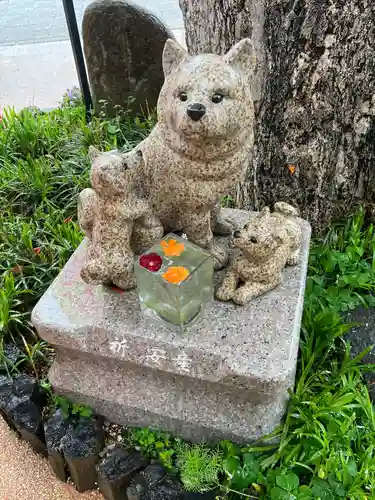 川越八幡宮(埼玉県)