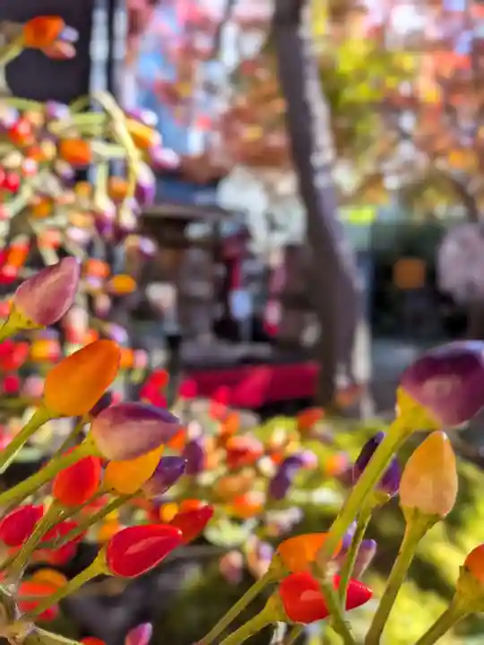 陽運寺(東京都)