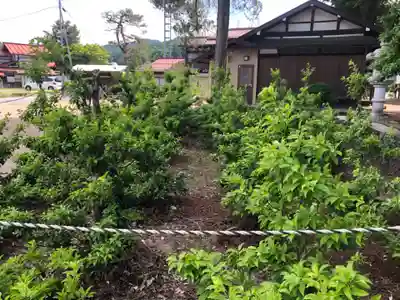 栗原神社の庭園
