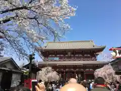 浅草寺の山門