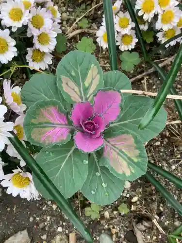 三輪神社の自然