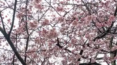 知恩院(京都府)