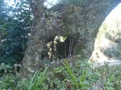 金泉寺(愛知県)