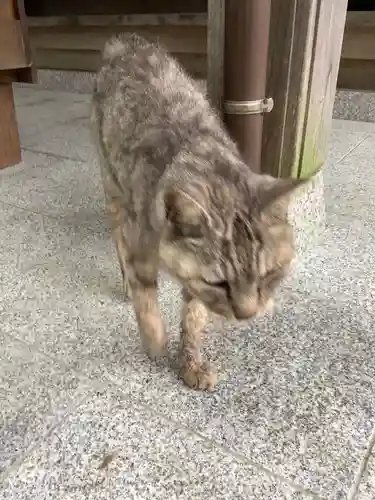 玉野御嶽神社の動物