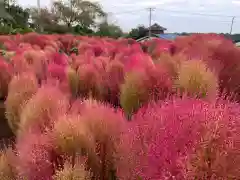 比々多神社の自然