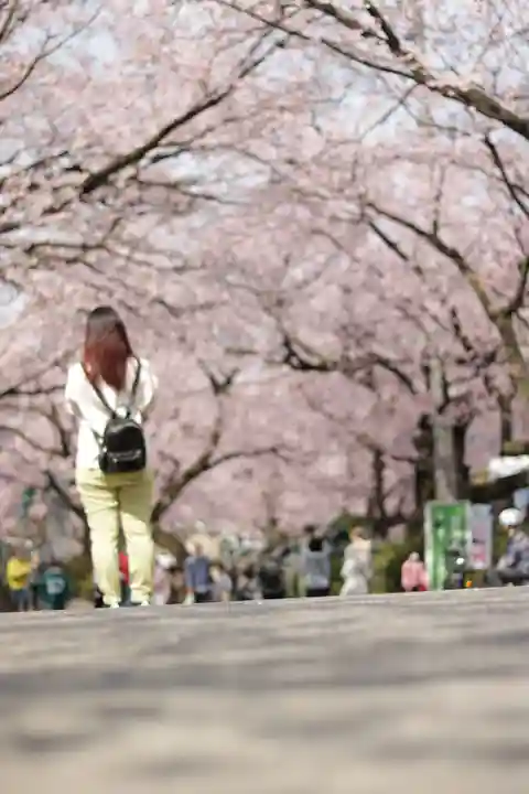 密藏院(埼玉県)