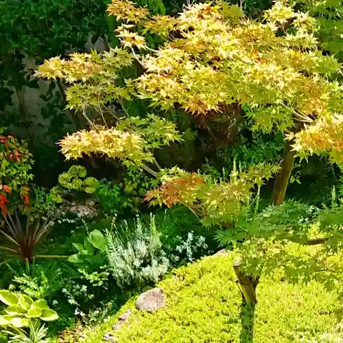 寿量山　速成寺の自然