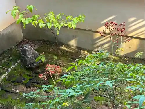 大心院(京都府)