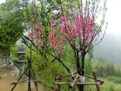 青岸渡寺(和歌山県)