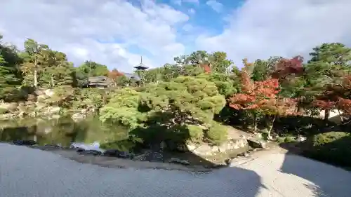 仁和寺の{uncategorized: "未分類", other: "その他", undefined: "問題あり", building: "その他建物", grave: "お墓", sacred_gate: "鳥居", guardian: "狛犬", statue: "像", buddha: "仏像", history: "歴史", nature: "自然", garden: "庭園", animal: "動物", pagoda: "塔", temizu: "手水舎", mountain_gate: "山門・神門", sanctuary: "本殿・本堂", subordinate: "末社・摂社", art: "芸術", scenery: "景色", jizo: "地蔵", ema: "絵馬", goshuin: "御朱印", omikuji: "おみくじ", items: "授与品その他", amulet: "お守り", goshuincho: "御朱印帳", eats: "食事", festival: "お祭り", votive_dance: "神楽", shichigosan: "七五三参", wedding: "結婚式", experience: "体験その他", initially: "初詣", around: "周辺", anti_infection: "感染症対策"}