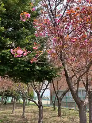 江南神社(北海道)