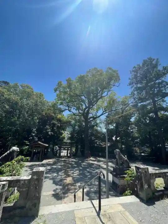 阿蘇神社の{uncategorized: "未分類", other: "その他", undefined: "問題あり", building: "その他建物", grave: "お墓", sacred_gate: "鳥居", guardian: "狛犬", statue: "像", buddha: "仏像", history: "歴史", nature: "自然", garden: "庭園", animal: "動物", pagoda: "塔", temizu: "手水舎", mountain_gate: "山門・神門", sanctuary: "本殿・本堂", subordinate: "末社・摂社", art: "芸術", scenery: "景色", jizo: "地蔵", ema: "絵馬", goshuin: "御朱印", omikuji: "おみくじ", items: "授与品その他", amulet: "お守り", goshuincho: "御朱印帳", eats: "食事", festival: "お祭り", votive_dance: "神楽", shichigosan: "七五三参", wedding: "結婚式", experience: "体験その他", initially: "初詣", around: "周辺", anti_infection: "感染症対策"}