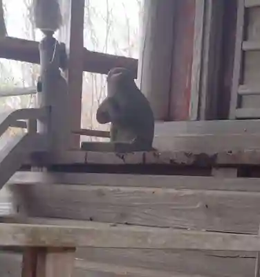 日吉神社(平沢)(宮城県)
