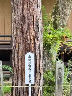 土津神社｜こどもと出世の神さま(福島県)