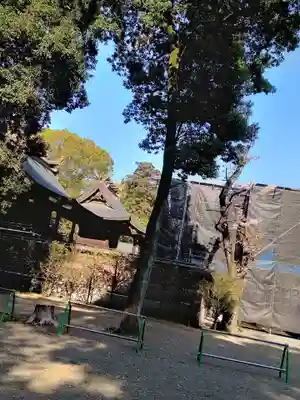 鷲宮神社の本殿・本堂