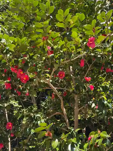 円覚寺(神奈川県)