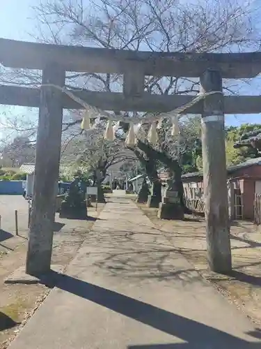 前玉神社の鳥居