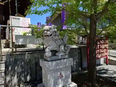 亀戸浅間神社(東京都)