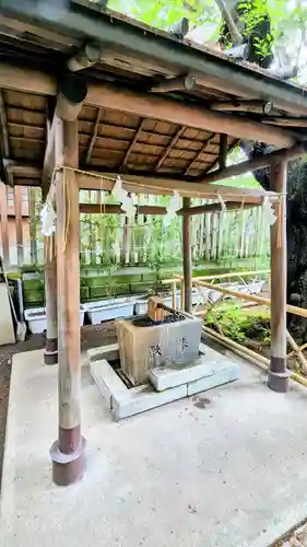 子安神社の手水