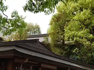 晴明神社の本殿・本堂