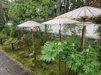 國分寺(高知県)