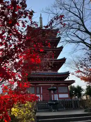 本土寺(千葉県)