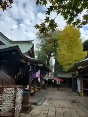 鳩ヶ谷氷川神社(埼玉県)