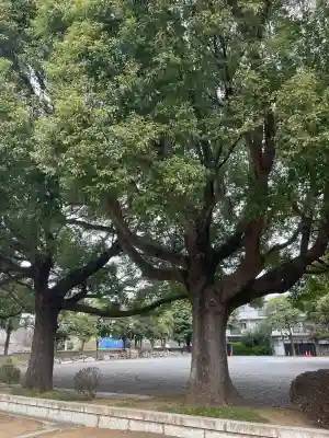 日乗院の{uncategorized: "未分類", other: "その他", undefined: "問題あり", building: "その他建物", grave: "お墓", sacred_gate: "鳥居", guardian: "狛犬", statue: "像", buddha: "仏像", history: "歴史", nature: "自然", garden: "庭園", animal: "動物", pagoda: "塔", temizu: "手水舎", mountain_gate: "山門・神門", sanctuary: "本殿・本堂", subordinate: "末社・摂社", art: "芸術", scenery: "景色", jizo: "地蔵", ema: "絵馬", goshuin: "御朱印", omikuji: "おみくじ", items: "授与品その他", amulet: "お守り", goshuincho: "御朱印帳", eats: "食事", festival: "お祭り", votive_dance: "神楽", shichigosan: "七五三参", wedding: "結婚式", experience: "体験その他", initially: "初詣", around: "周辺", anti_infection: "感染症対策"}