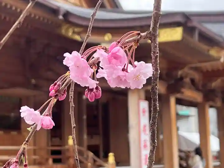 富知六所浅間神社の自然
