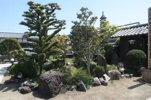大松禅寺(京都府)