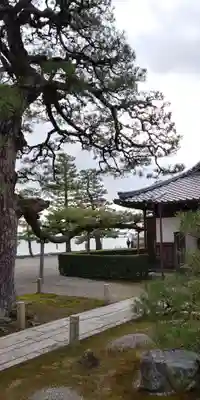 満月寺（浮御堂）のその他建物