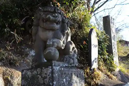 阿久津「田村神社」（郡山市阿久津町）旧社名：伊豆箱根三嶋三社の狛犬