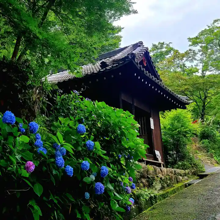 普門寺(切り絵御朱印発祥の寺)(愛知県)