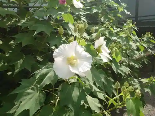 天龍寺(京都府)