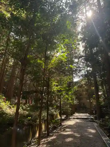 猿田彦三河神社の{uncategorized: "未分類", other: "その他", undefined: "問題あり", building: "その他建物", grave: "お墓", sacred_gate: "鳥居", guardian: "狛犬", statue: "像", buddha: "仏像", history: "歴史", nature: "自然", garden: "庭園", animal: "動物", pagoda: "塔", temizu: "手水舎", mountain_gate: "山門・神門", sanctuary: "本殿・本堂", subordinate: "末社・摂社", art: "芸術", scenery: "景色", jizo: "地蔵", ema: "絵馬", goshuin: "御朱印", omikuji: "おみくじ", items: "授与品その他", amulet: "お守り", goshuincho: "御朱印帳", eats: "食事", festival: "お祭り", votive_dance: "神楽", shichigosan: "七五三参", wedding: "結婚式", experience: "体験その他", initially: "初詣", around: "周辺", anti_infection: "感染症対策"}
