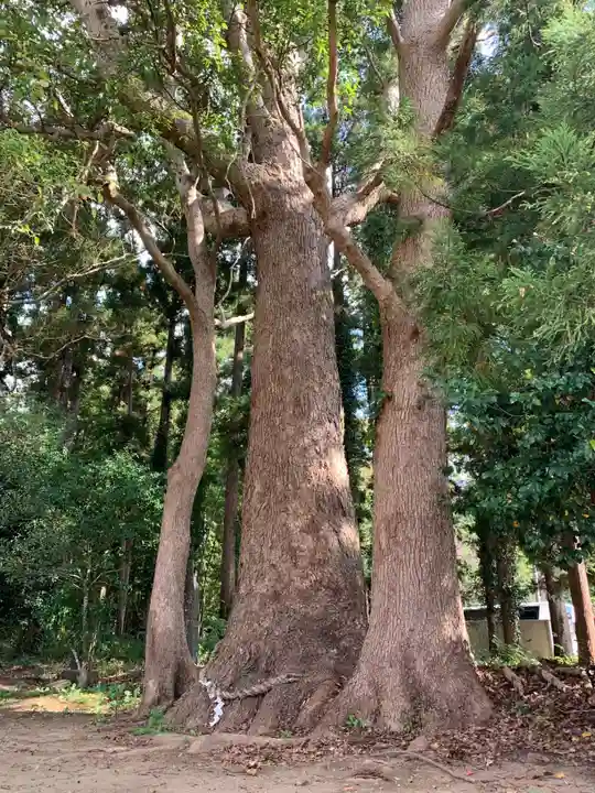 稲荷大神の自然