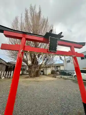 八大龍王辨財天(京都府)