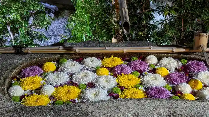 妙顯寺(妙顕寺)(京都府)