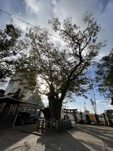 阿邪訶根神社(福島県)