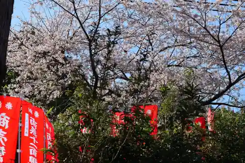 牟禮山観音禅寺の自然