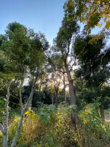 布多天神社(東京都)