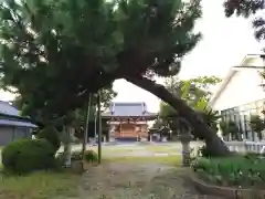 神明社（中和会神明社）(愛知県)